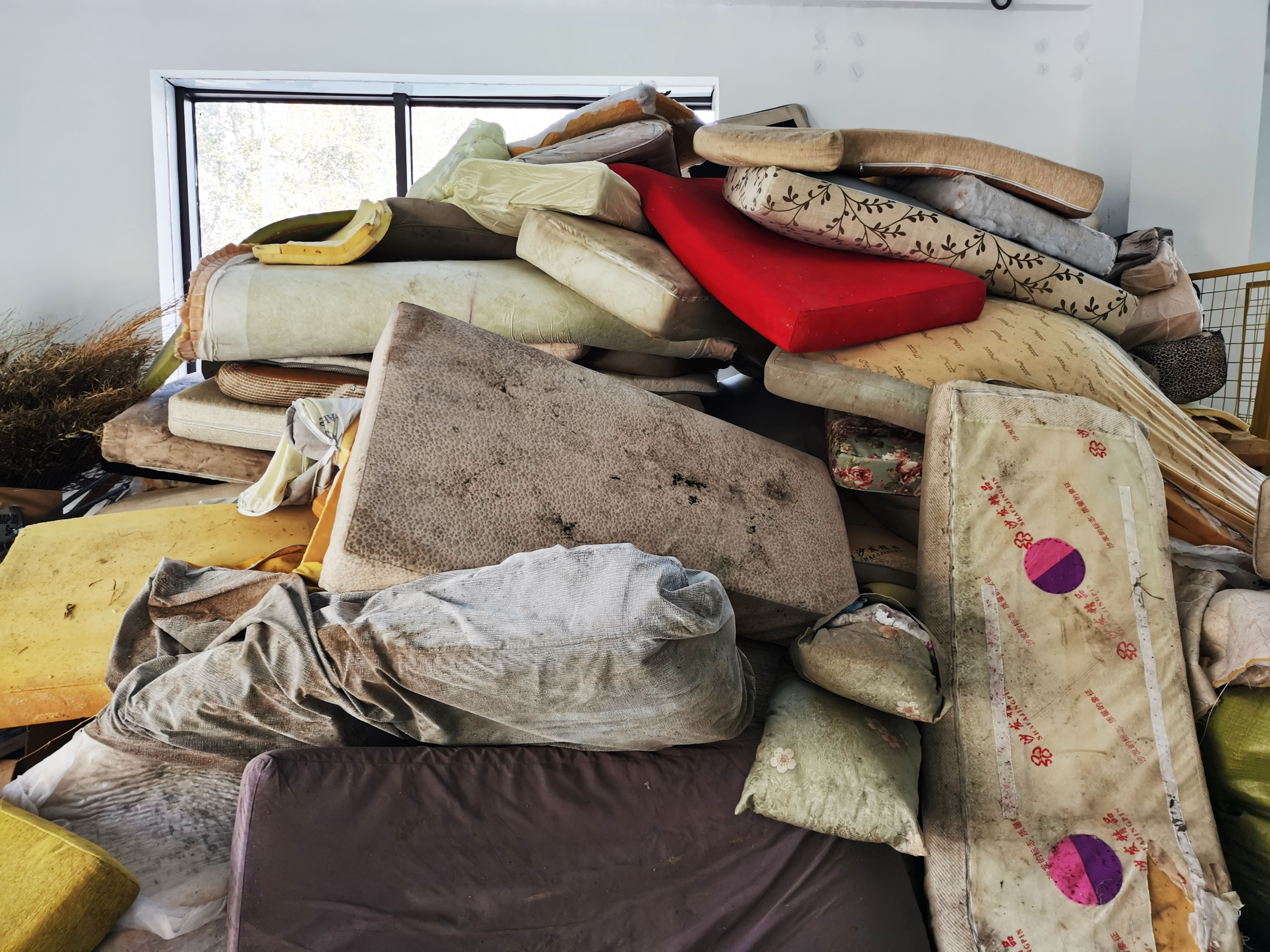 09fe34ab93b337585f1a5aa6fb4efab.jpg 09fe34ab93b337585f1a5aa6fb4efab.jpg