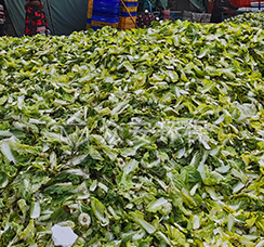 餐廚1 拷貝 4.jpg